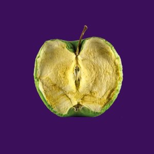 ดาวน์โหลดและฟังเพลง Waste พร้อมเนื้อเพลงจาก Zeal & Ardor