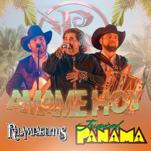 Listen to Amame Hoy (En Vivo) song with lyrics from Relampaguitos