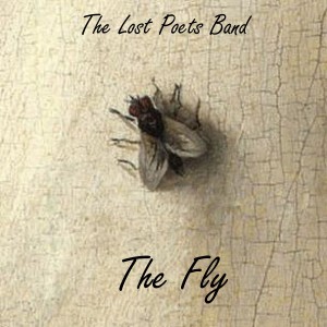 Various Artists的專輯The Fly
