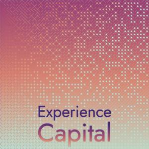 Listen to Experience Capital song with lyrics from Rolant Mashs