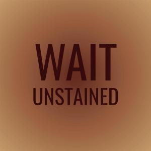 Various的专辑Wait Unstained