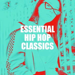 อัลบัม Essential Hip Hop Classics ศิลปิน DJ Hip Hop Masters