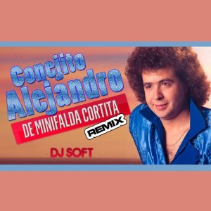 Miguel Alejandro的專輯De Minifalda Cortita (Remix)