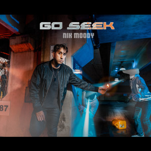 Listen to Go Seek song with lyrics from nikmoody