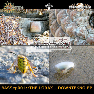 The Lorax的專輯The Lorax DownTekno EP