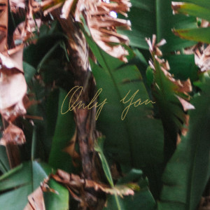 Listen to Only You song with lyrics from Alysha Sarina
