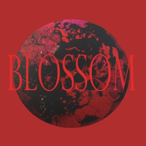 收听NSB的BLOSSOM歌词歌曲