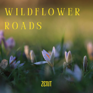 收听Zenit的Wildflower Roads歌词歌曲