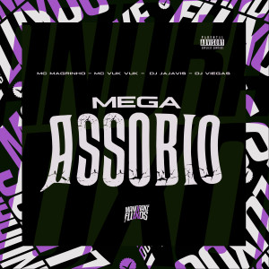 Listen to Mega Assobio (Explicit) song with lyrics from Mc Magrinho