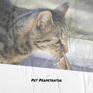 Listen to Story Serpentaria song with lyrics from Aldon Stal