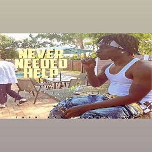 收听Ace Banks的Never Needed Help (Explicit)歌词歌曲