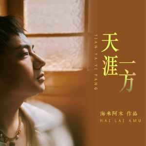 收聽海來阿木的天涯一方歌詞歌曲
