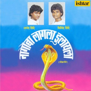 ดาวน์โหลดและฟังเพลง Majhi Ladachi Bayako พร้อมเนื้อเพลงจาก Anand Shinde