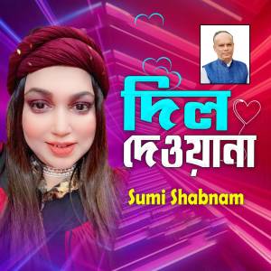 Album Dil Dewyana from 