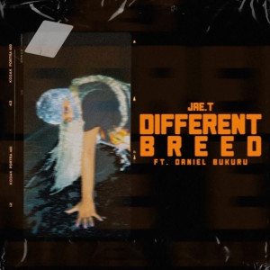 ดาวน์โหลดและฟังเพลง Different Breed (Explicit) พร้อมเนื้อเพลงจาก Jae.T