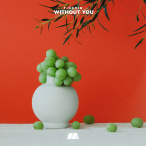 Listen to Without You (Explicit) song with lyrics from Tinorio