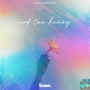 Album Not Too Heavy from Feather