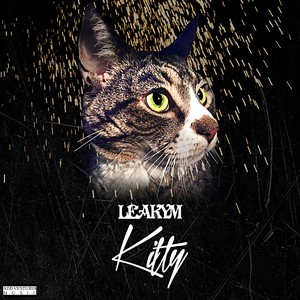 ดาวน์โหลดและฟังเพลง Kitty (Explicit) พร้อมเนื้อเพลงจาก Leakym