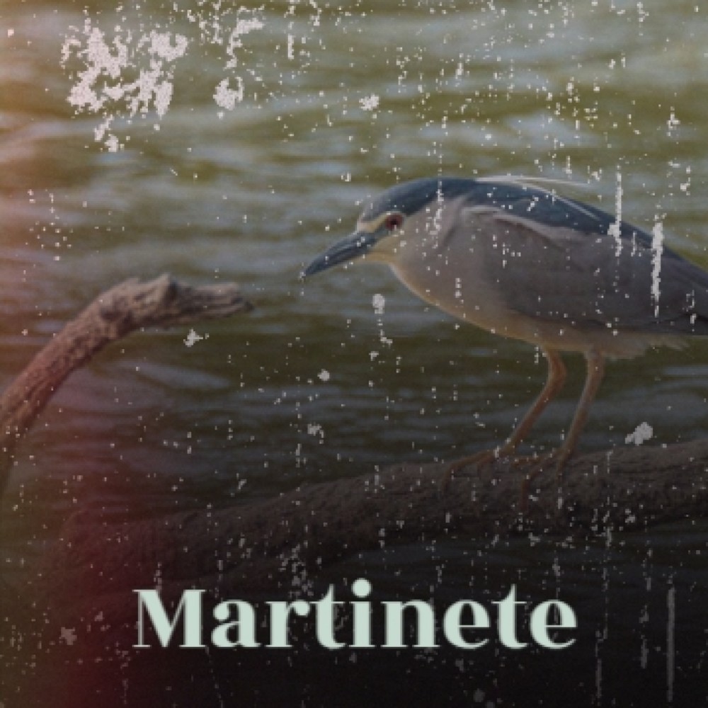 Martinete