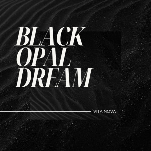Dengarkan lagu Black Tranquil nyanyian Vita Nova dengan lirik