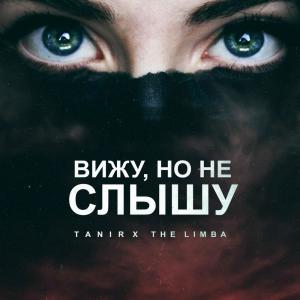 收聽Tanir的Вижу, но не слышу歌詞歌曲