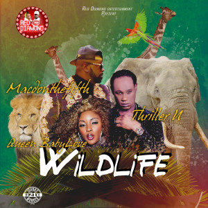 Macdon the Fifth的專輯Wildlife (Explicit)