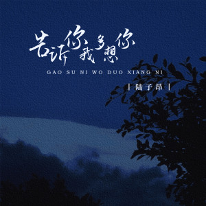 收听陆子昂的告诉你我多想你歌词歌曲