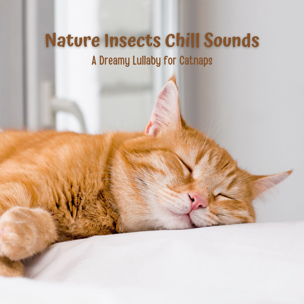 Soothing Slumber Soundscapes