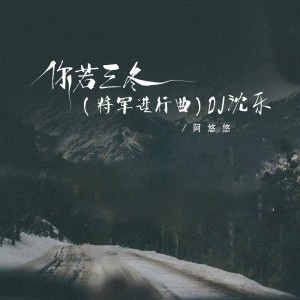 收聽阿悠悠的你若三冬（將軍進行曲） (DJ沈樂版)歌詞歌曲
