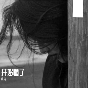 Listen to 明明就 (Remix) song with lyrics from 小冉