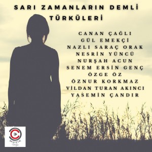 Album Sarı Zamanların Demli Türküleri from Çesitli Sanatçilar