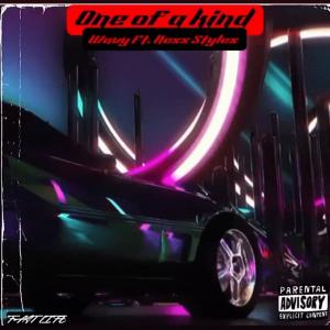 Moochie Mooch的專輯One Of A Kind (feat. Ness Styles) (Explicit)