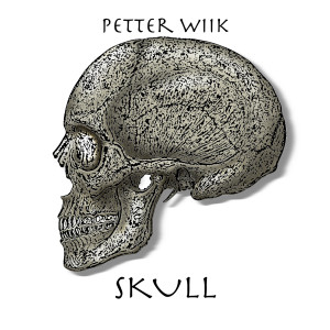 收聽Petter Wiik的Skull歌詞歌曲