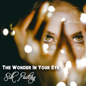 Album The Wonder In Your Eye oleh Silk Factory