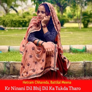 ดาวน์โหลดและฟังเพลง Kr Ninani Dil Bhij Dil Ka Tukda Tharo พร้อมเนื้อเพลงจาก Hetram Chhareda