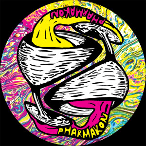 ดาวน์โหลดและฟังเพลง Crazy Deep Feelings พร้อมเนื้อเพลงจาก Rawtrachs