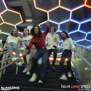 ดาวน์โหลดและฟังเพลง Like Gravity (Acoustic) พร้อมเนื้อเพลงจาก Blossoms