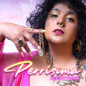 ดาวน์โหลดและฟังเพลง Perrísima (Explicit) พร้อมเนื้อเพลงจาก Audry Funk
