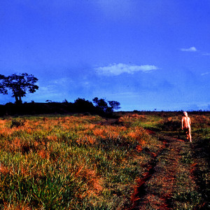 Yanto的專輯Verão