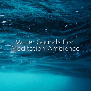 收聽Ocean Waves for Sleep的Baby Sleep Sounds歌詞歌曲