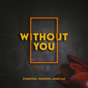 Listen to WITHOUT YOU (Explicit) song with lyrics from Studavigå
