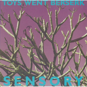 收听Toys Went Berserk的Guns at My Head (Bonus Track)歌词歌曲