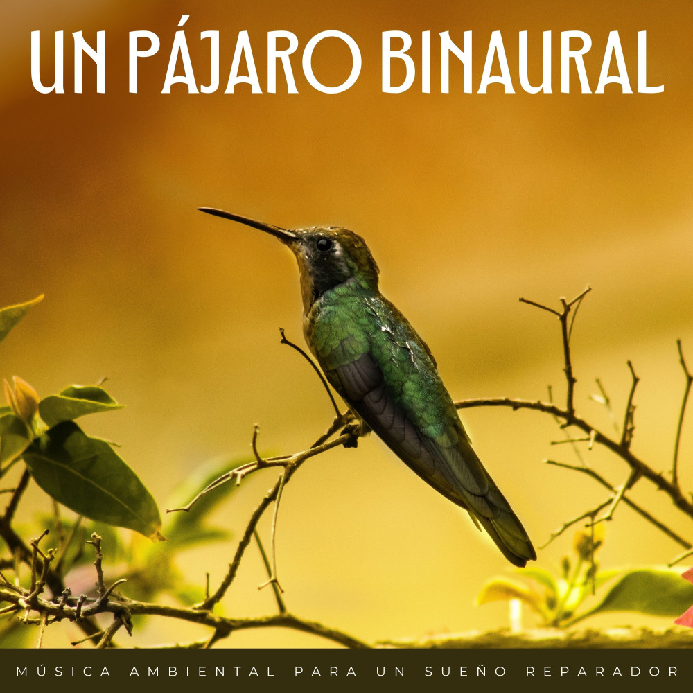 Pájaros Binaurales Relajantes