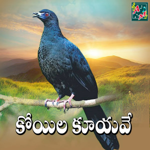 收听Suresh Krishna的Koyila Kooyave歌词歌曲