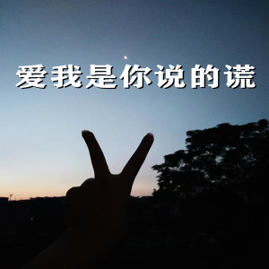 Dengarkan lagu 爱我是你说的谎 nyanyian 赵羊 dengan lirik