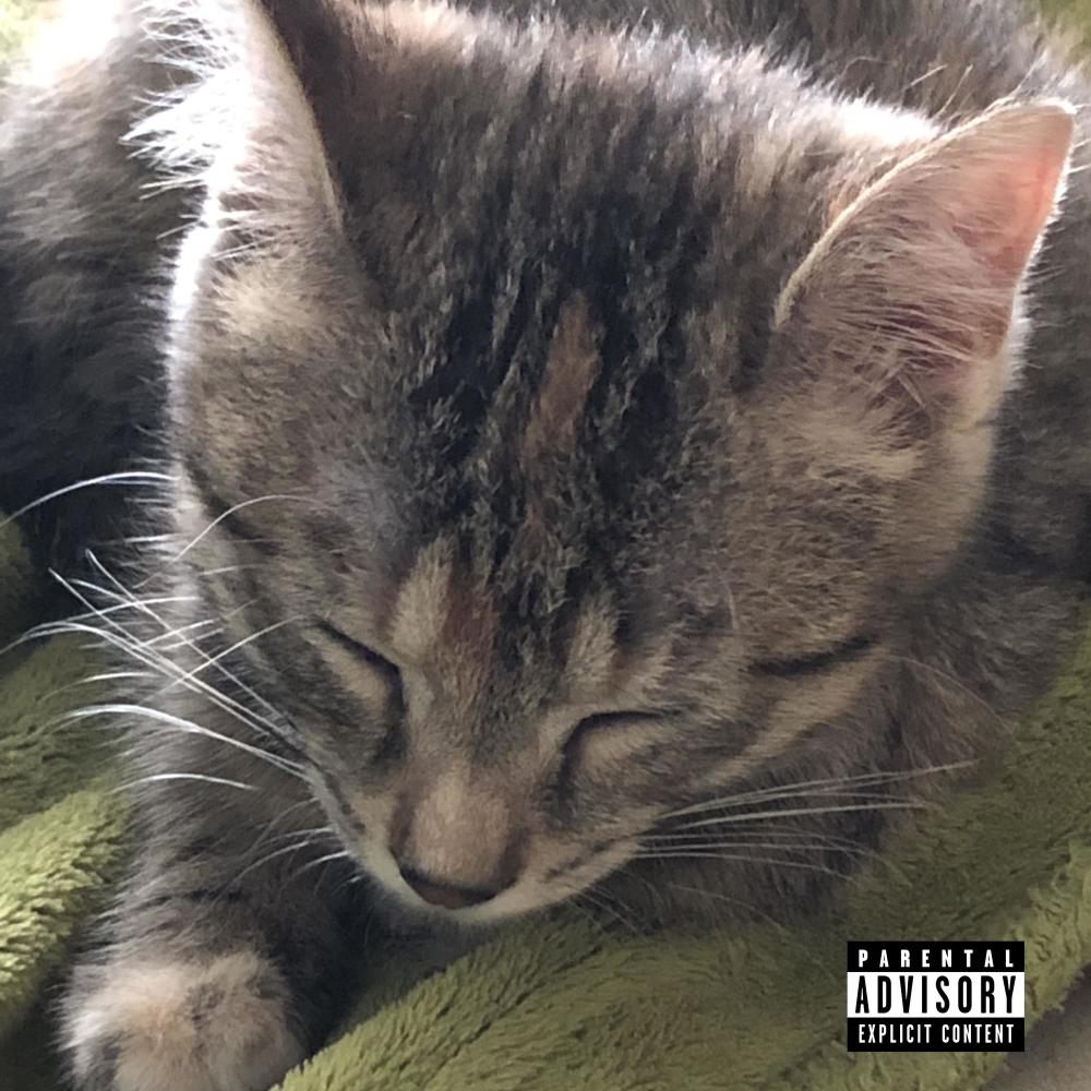 Answers (Explicit)