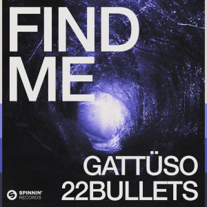 GATTÜSO的專輯Find Me (Extended Mix)
