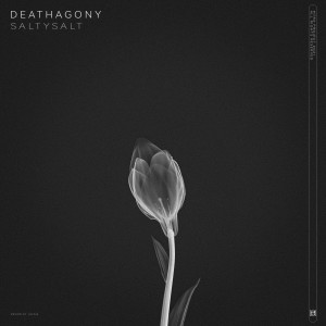 Listen to DeathAgony (完整版) song with lyrics from SaltySalt