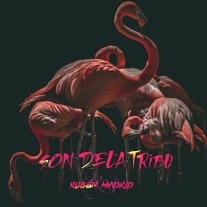 Listen to Son de la Tribu song with lyrics from Ruben Madrid