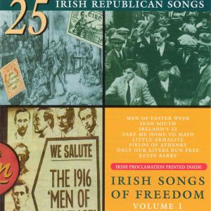 ดาวน์โหลดและฟังเพลง The Fields Of Athenry พร้อมเนื้อเพลงจาก Pat Woods
